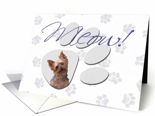 April Fool's Day Greeting - featuring a Yorkshire Terrier card