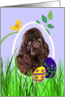 Easter Card featuring a chocolate American Cocker Spaniel card