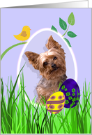 Easter Card featuring a Yorkshire Terrier card