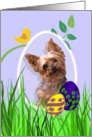 Easter Card featuring a Yorkshire Terrier card