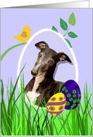 Easter Card featuring a Whippet card