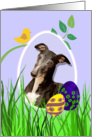 Easter Card featuring a Whippet card