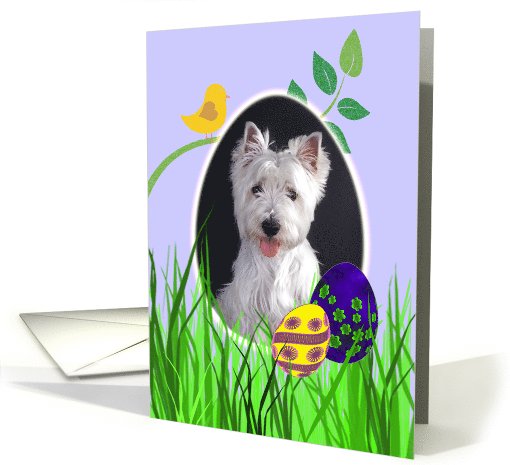 Easter Card featuring a West Highland White Terrier card (784088)