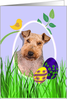 Easter Card featuring a Welsh Terrier card