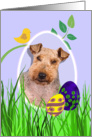 Easter Card featuring a Welsh Terrier card