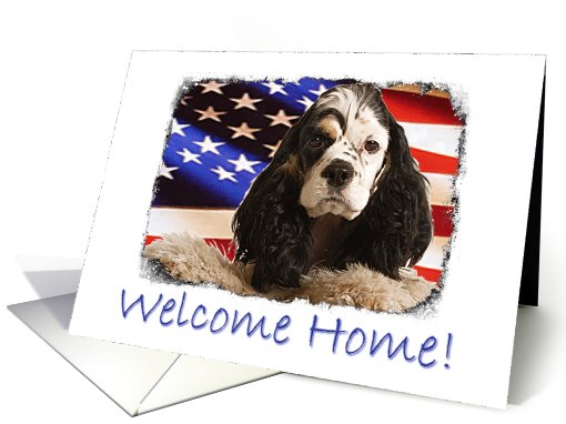 Welcome Home Patriotic Card featuring a Cocker Spaniel card (784326)