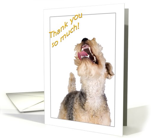 Thank you - featuring an enthusiastic Lakeland Terrier card (784414)