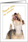 Thank you - featuring an enthusiastic Lakeland Terrier card