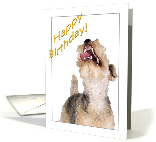 Lakeland Terrier - Happy Birthday greetings card (784415)