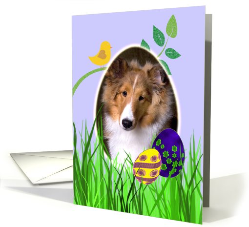 Easter Card featuring a sable Shetland Sheepdog puppy card (784618)