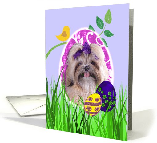 Easter Card featuring a Shih Tzu card (784620)