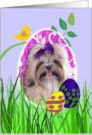 Easter Card featuring a Shih Tzu card