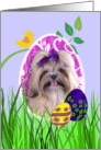 Easter Card featuring a Shih Tzu card