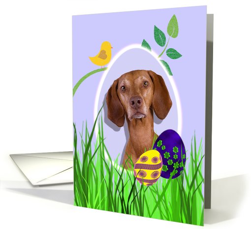 Easter Card featuring a Vizsla card (784631)