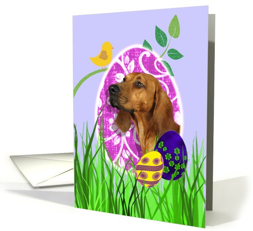 Easter Card featuring a Redbone Coonhound card (784706)