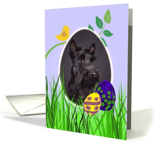 Easter Card featuring a Scottish Terrier card (784707)