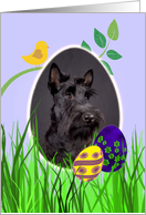 Easter Card featuring a Scottish Terrier card