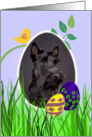 Easter Card featuring a Scottish Terrier card
