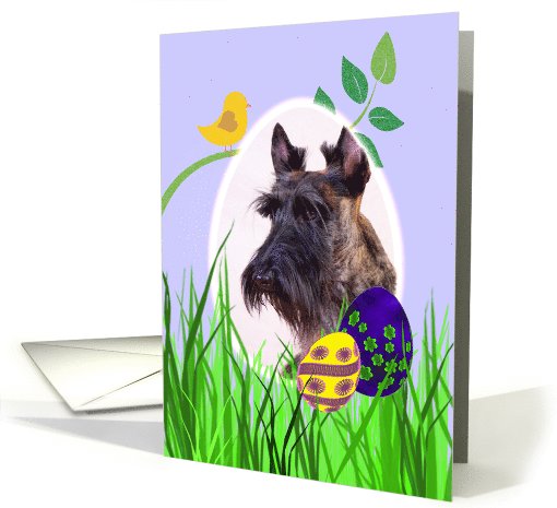 Easter Card featuring a brindle Scottish Terrier card (784710)