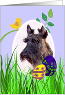 Easter Card featuring a brindle Scottish Terrier card