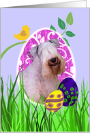 Easter Card featuring a Sealyham Terrier card
