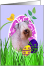 Easter Card featuring a Sealyham Terrier card