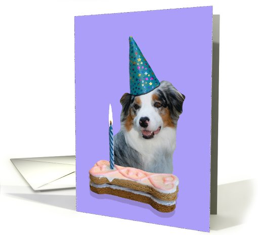 Birthday Card featuring a blue merle Australian Shepherd card (784970)