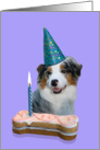 Birthday Card featuring a blue merle Australian Shepherd card