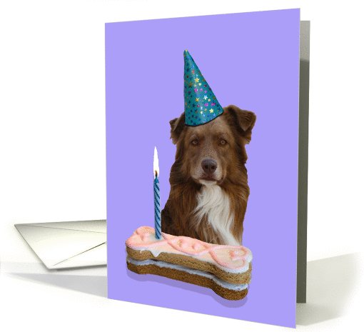 Birthday Card featuring a red Australian Shepherd card (784971)