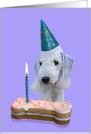 Birthday Card featuring a Bedlington Terrier card