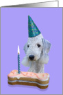 Birthday Card featuring a Bedlington Terrier card