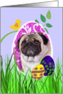 Easter Card featuring a Pug card