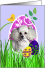 Easter Card featuring a Toy Poodle card