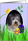 Easter Card featuring a Polish Lowland Sheepdog card