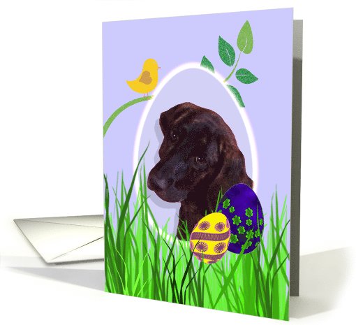 Easter Card featuring a Plott card (785983)