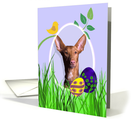 Easter Card featuring a Pharaoh Hound card (785985)