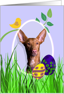 Easter Card featuring a Pharaoh Hound card