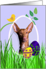 Easter Card featuring a Pharaoh Hound card