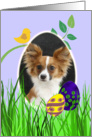 Easter Card featuring a Papillon card