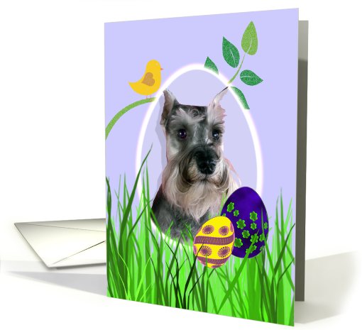 Easter Card featuring a Miniature Schnauzer card (785989)