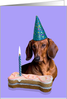 Birthday Card featuring a red Dachshund card