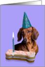 Birthday Card featuring a red Dachshund card