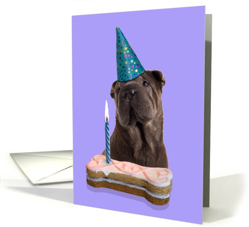 Birthday Card featuring a Chinese Shar-Pei card (786598)