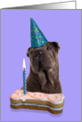 Birthday Card featuring a Chinese Shar-Pei card