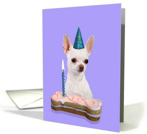 Birthday Card featuring a white Chihuahua card (786600)