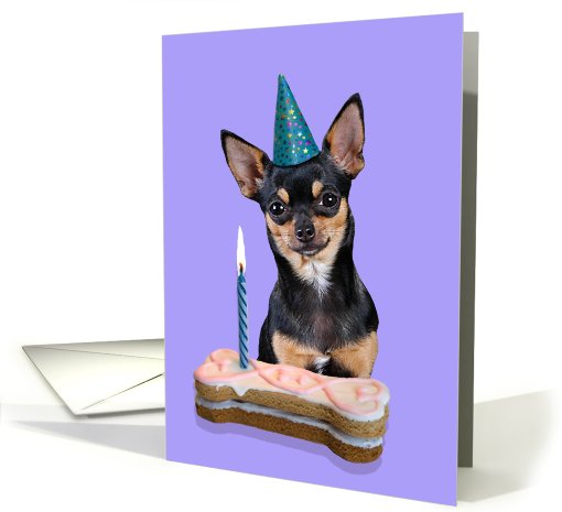 Birthday Card featuring a black and tan Chihuahua card (786603)