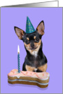 Birthday Card featuring a black and tan Chihuahua card