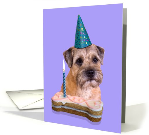 Birthday Card featuring a Border Terrier card (786604)