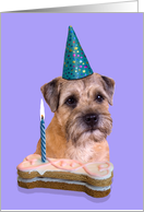 Birthday Card featuring a Border Terrier card