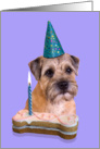 Birthday Card featuring a Border Terrier card